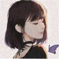 用户 深夜补番人 头像